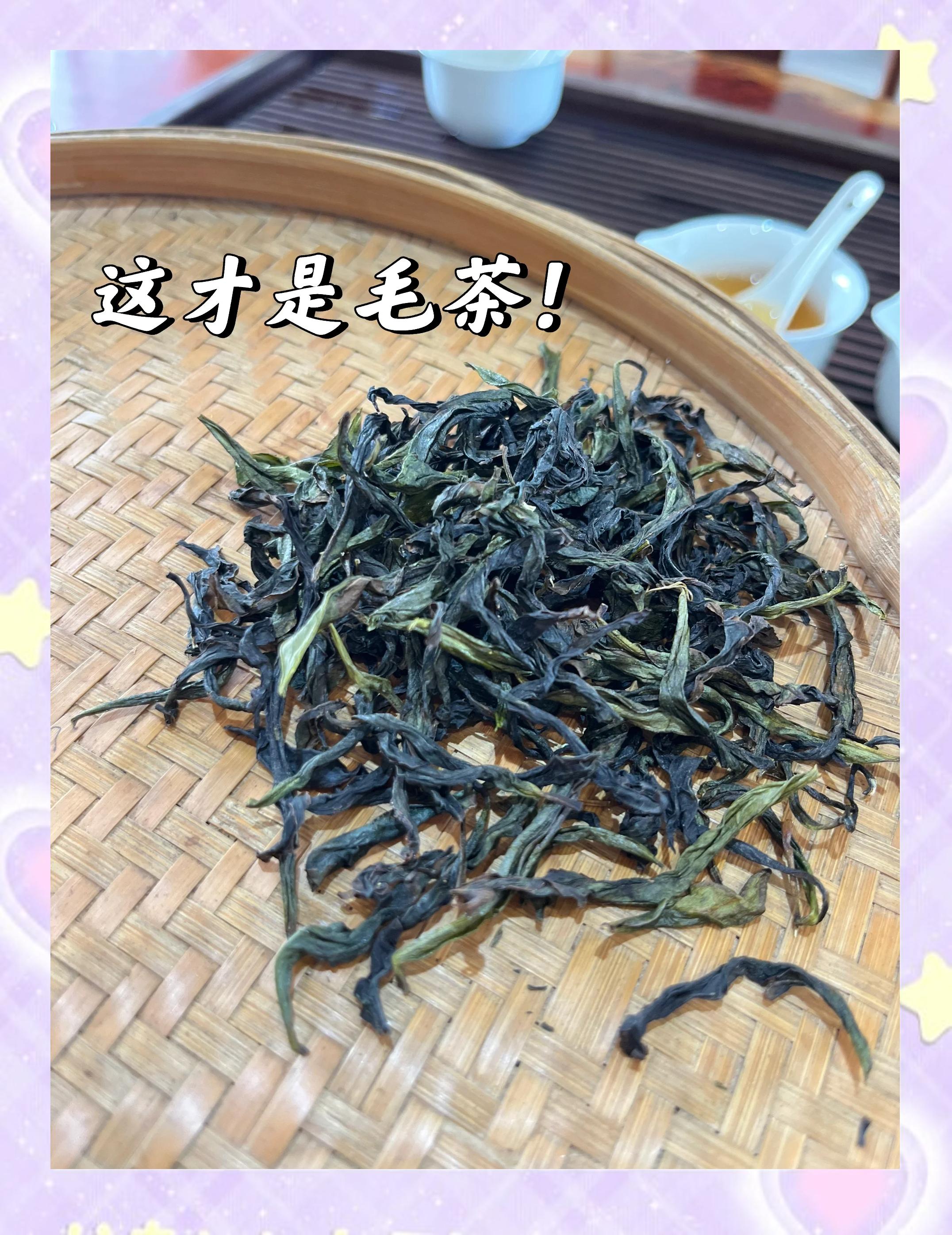 毛茶與精制茶的五大核心區別，你了解嗎？