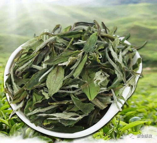 秋月圈枝小青柑白茶 陳皮人家匠心呈現(xiàn)的茶界珍品